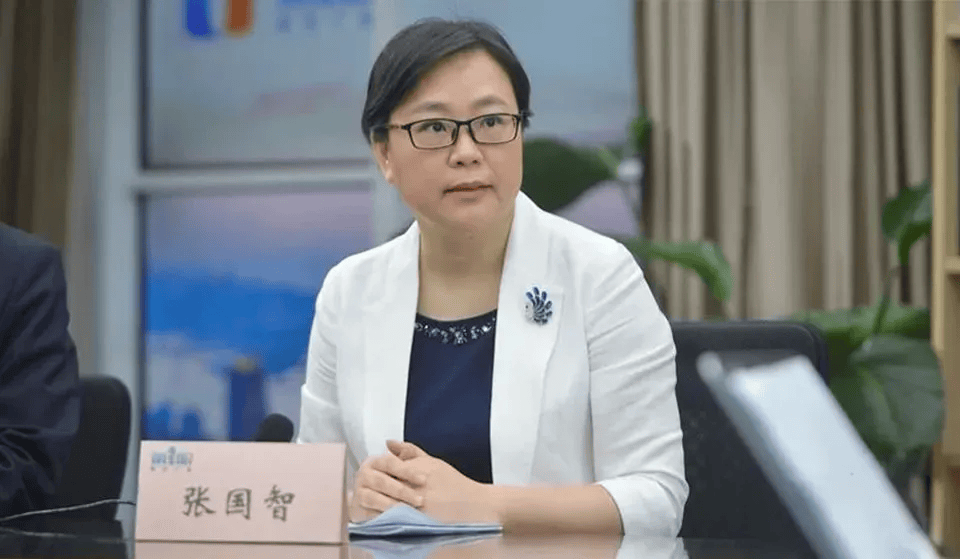 中央批准:张国智任广东省委常委