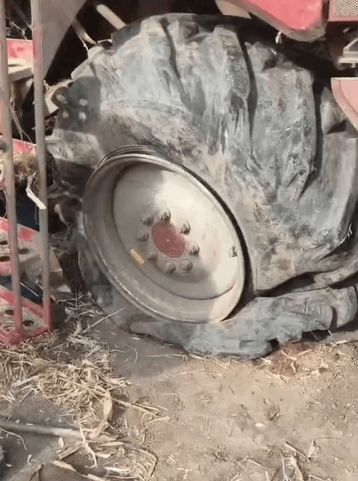 黑龙江农民收地疑遭恶意投放角铁,自发筹款找“凶手”?当地回应