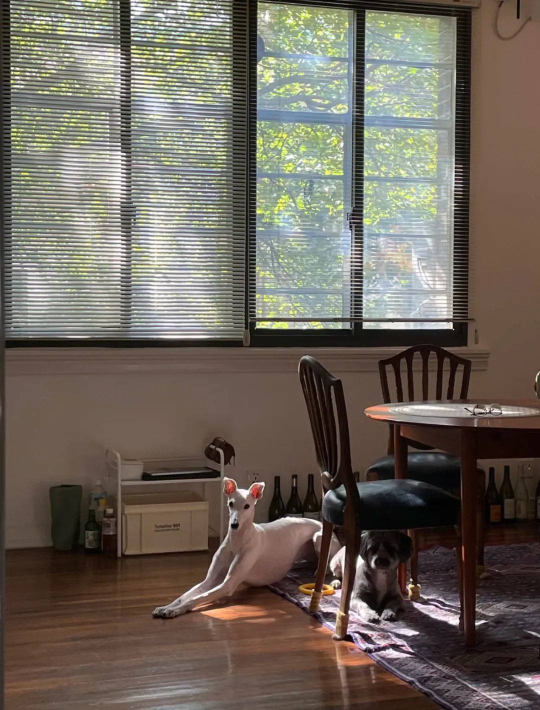 辞职、出国、卖掉老洋房,一个上海精英决定换种生活