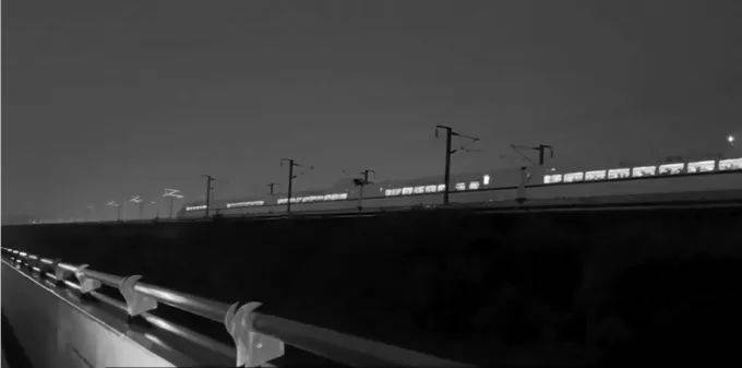 野猪侵入高铁联络线与列车相撞,此类事故如何避免?