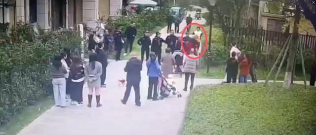 官方通报:执法人员张某(男,35岁)被停职