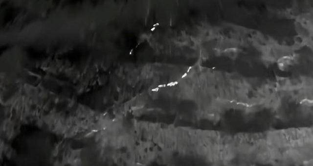 云南“6头野猪从天而降”?实为被猎捕时跳崖 对话野猪“赏金猎人”:干这行不赚钱