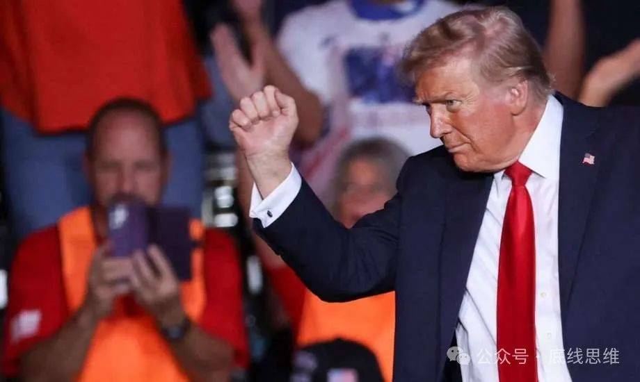 特朗普是铁拳,哈里斯是戴着天鹅绒手套的铁拳
