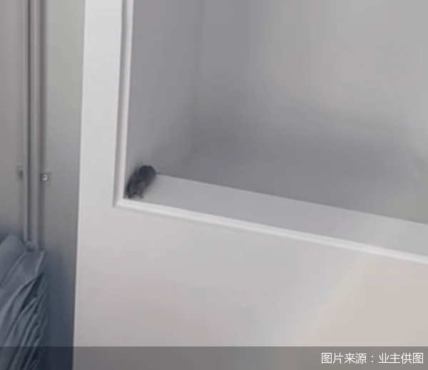 老鼠乱窜、直饮水发黄,北京业主千万元买的和锦诚园居然是这样