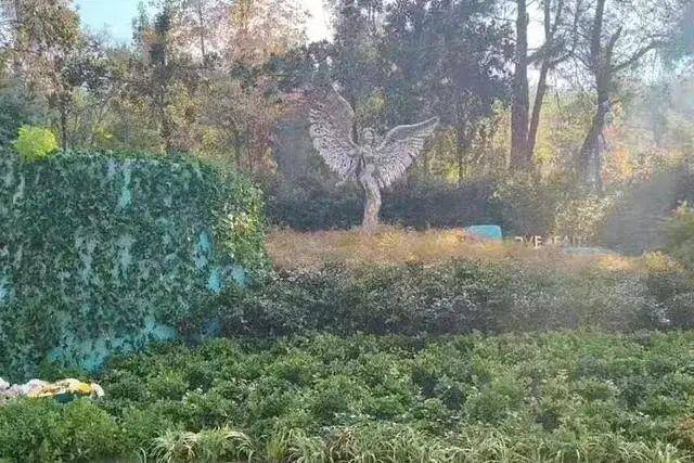 李玟武汉墓地杂草丛生?其姐姐发文回应