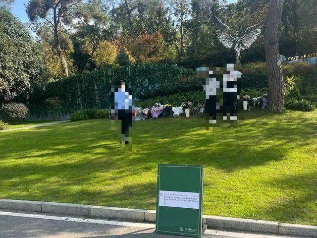 李玟武汉墓地杂草丛生?其姐姐发文回应