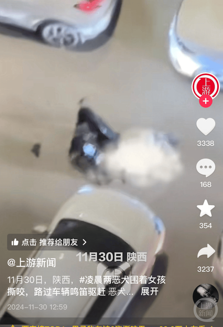 西安西郊两只大型犬围咬一女子被路过车辆驱赶，知情者：狗主人已接受调查