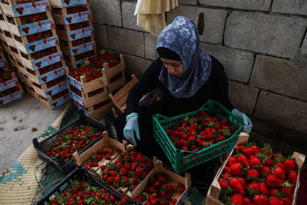 叙利亚战火持续,攻下阿勒颇的反对派武装到底什么来头?在下一盘什么棋?