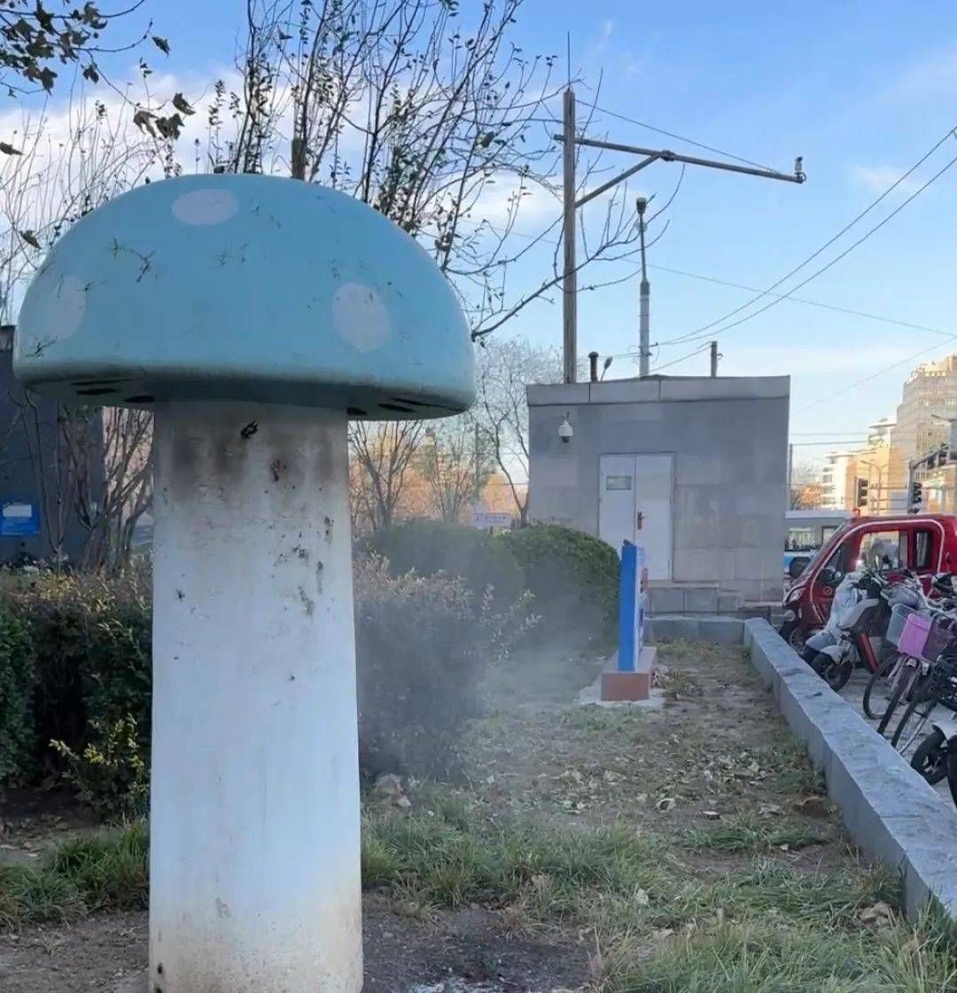 北京街头2米高神秘“蘑菇”,你见过吗?网友大胆猜想……