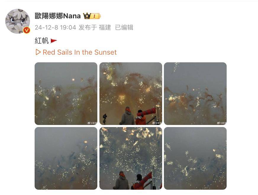 蔡国强烟花秀大量无人机坠海,网友直呼遗憾,本人回应