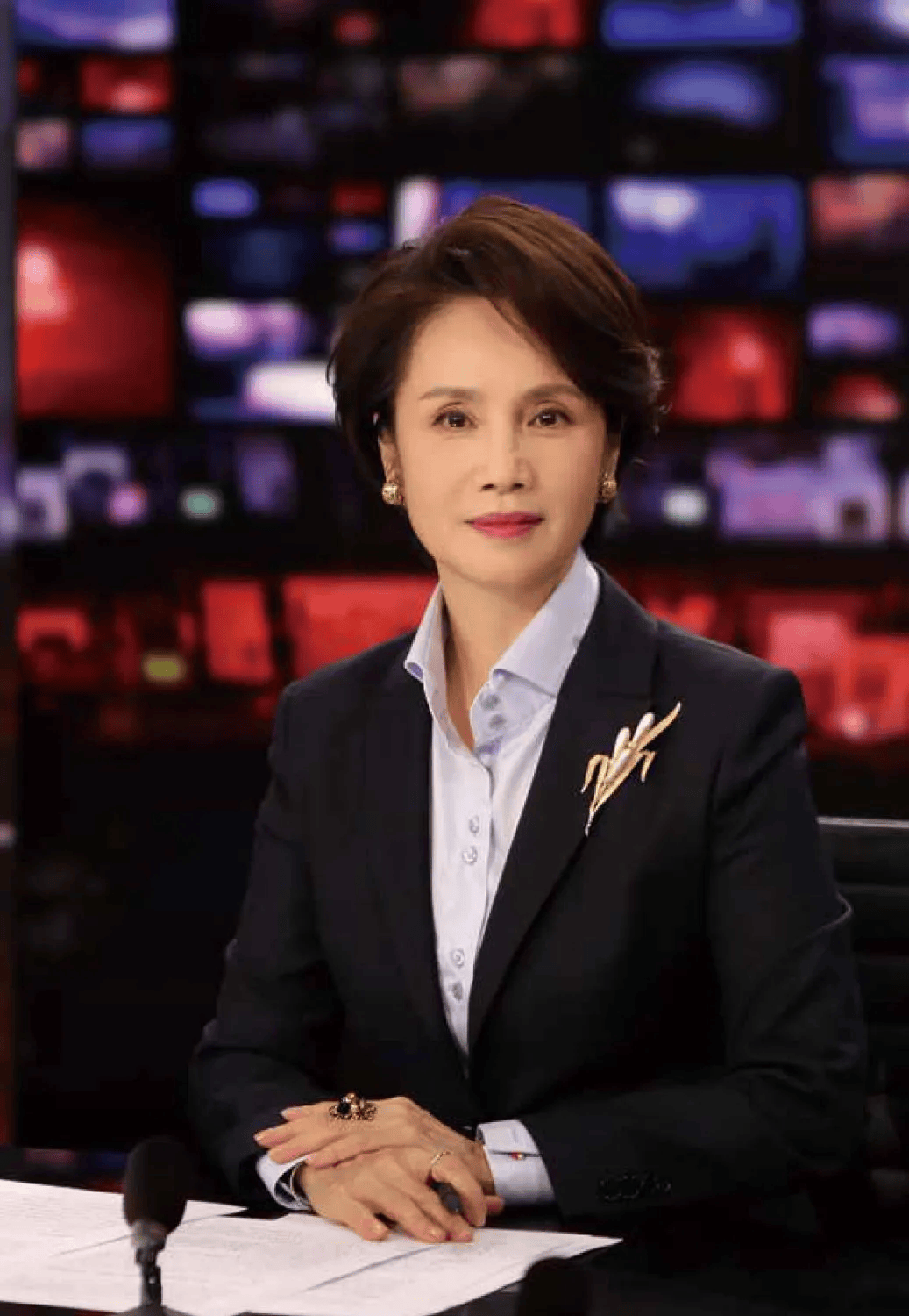 前央视知名主持人,转行当演员