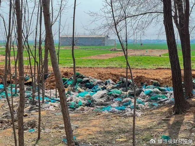 小恶魔被判无期,为何网友仍不满意?