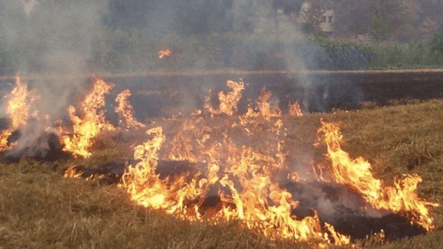 唐山各乡镇、村落一律禁止!多名村民被罚