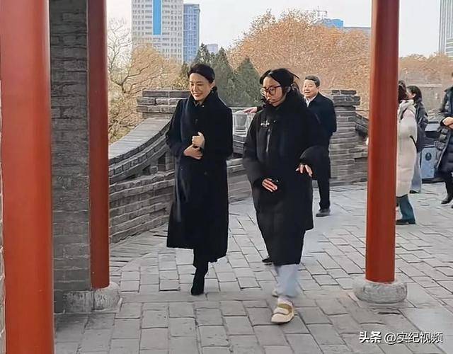 周涛来邯郸，出圈的竟然是旁边的鸡窝头讲解员，周涛：孩子刚睡醒