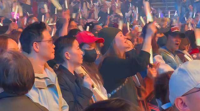 刘德华演唱会实录：表演滑跪失败，甄子丹舒淇任达华台下蹦迪