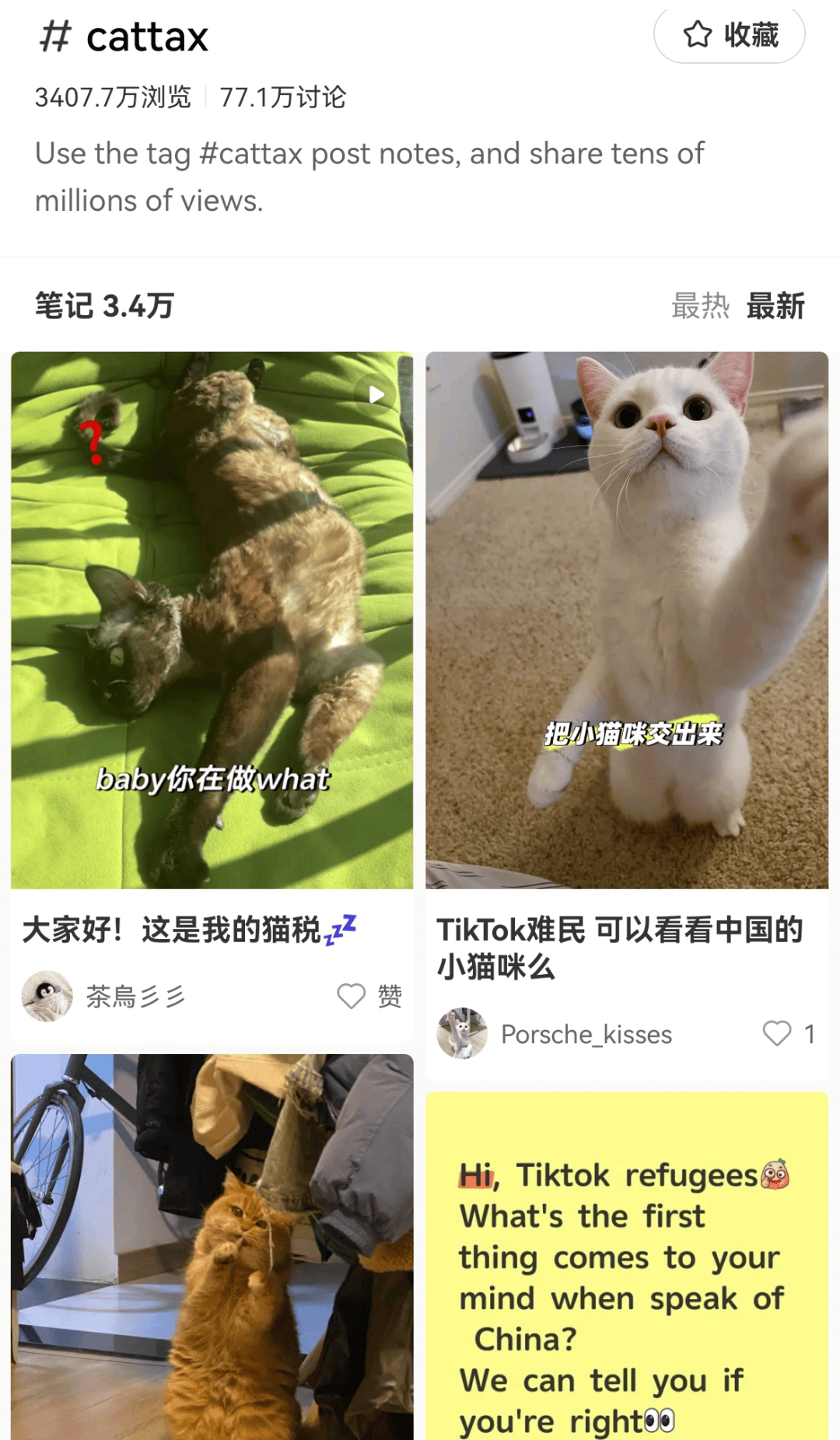 大量外国网友涌入小红书,网友喊话:别下载拼多多,等我邀请你