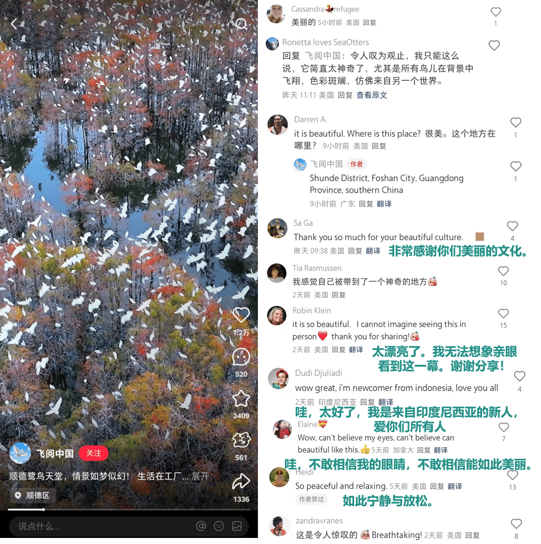 小红书上的外国网友,都在点赞佛山什么?