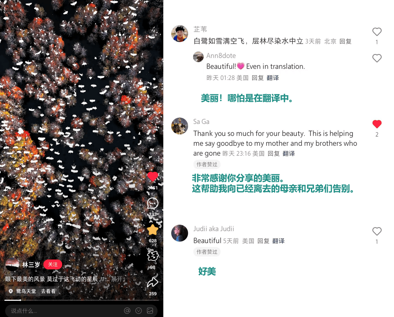 小红书上的外国网友,都在点赞佛山什么?