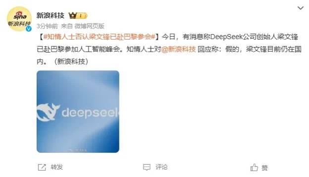 DeepSeek梁文锋用黑科技远程参加巴黎AI峰会?假的!