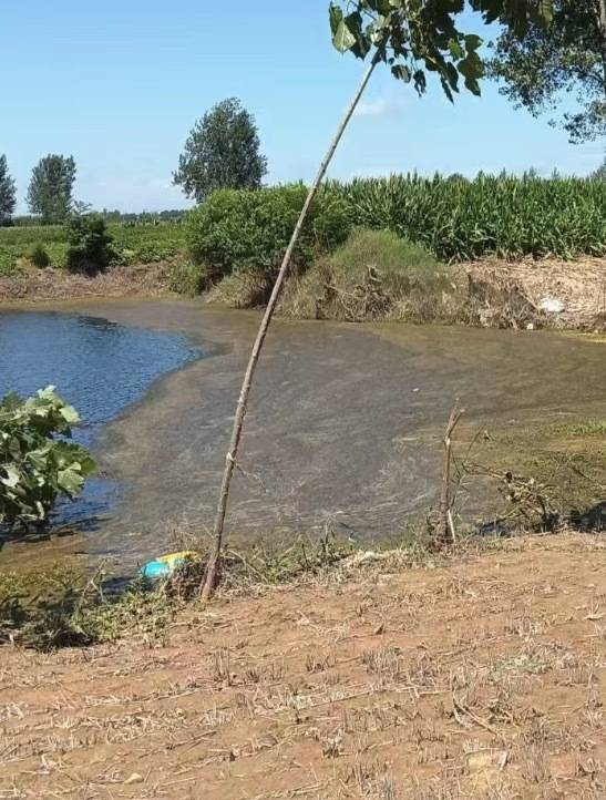 “女生遭侵犯落水被阻挡上岸至溺亡”案续:检方提起抗诉,建议死刑