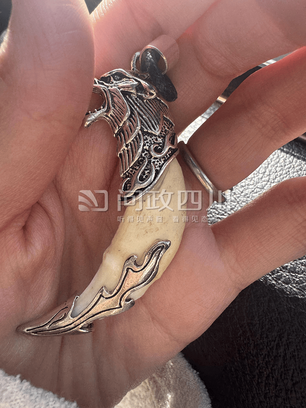 游客称购两颗狼牙实为狗牙，律师：买卖真狼牙涉违法，卖假狼牙涉欺诈