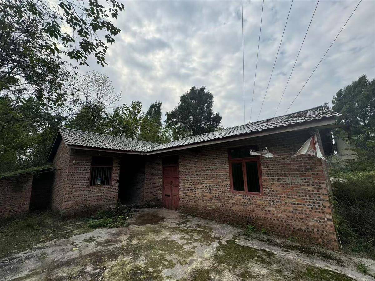 余华英被执行死刑,户籍地村民听闻后:执行得好