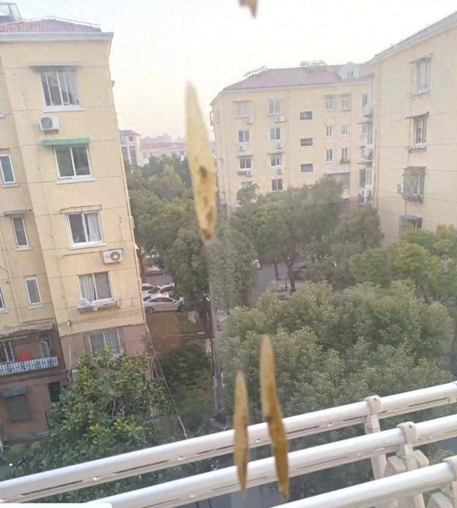 热闻|孩子从楼上抛下湿纸团，家长赔了7000元！高空抛物应承担哪些法律责任？