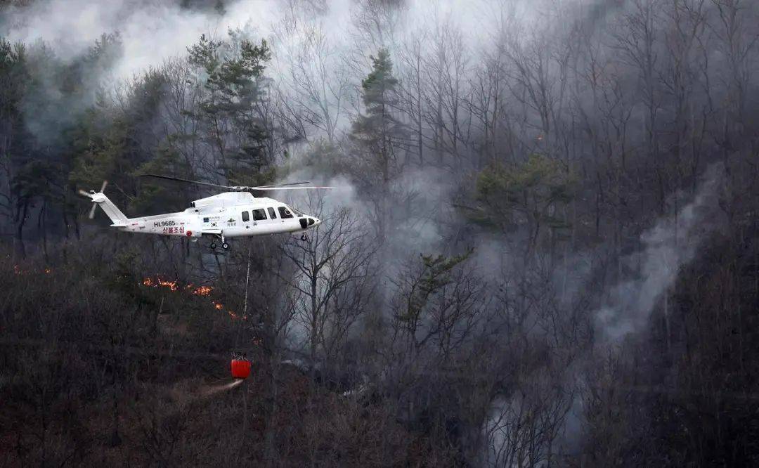 已致4名消防员遇难!多地进入“灾难状态”
