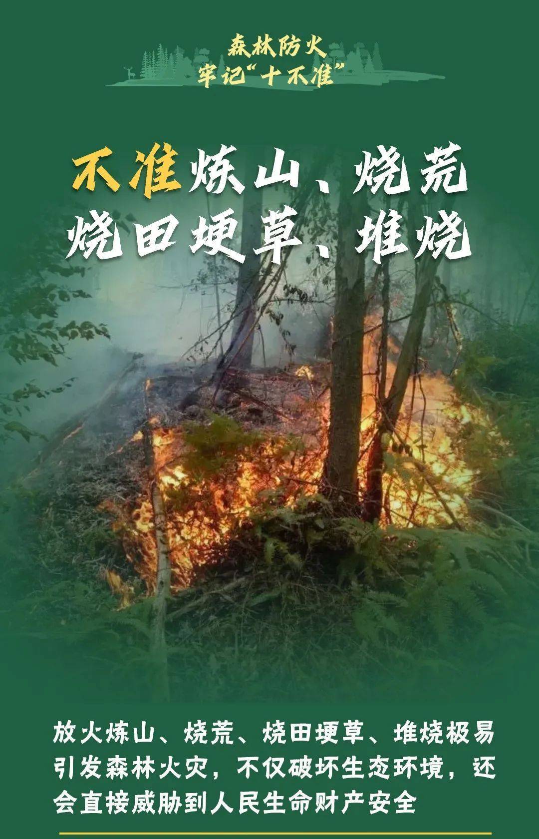 已致4名消防员遇难!多地进入“灾难状态”