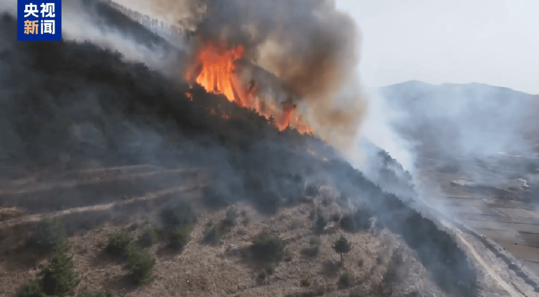 山西发生一起火情！最新消息：纵火人员已被抓获