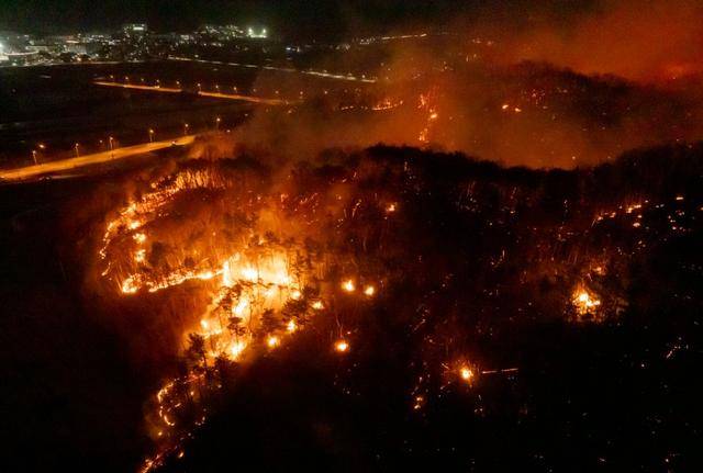 韩国东南部大型山火已造成19人死亡