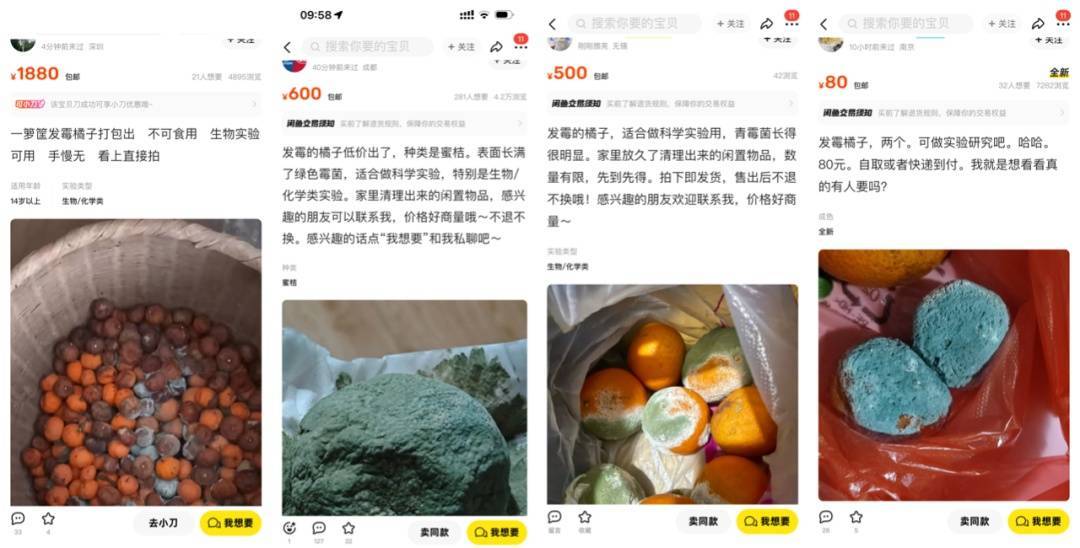 突然火了!有人卖500元一个!网友:后悔扔了……