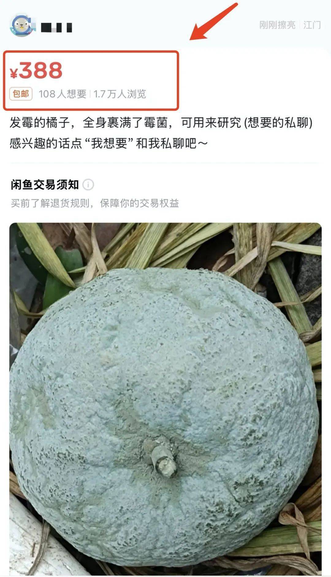 突然火了!有人卖500元一个!网友:后悔扔了……