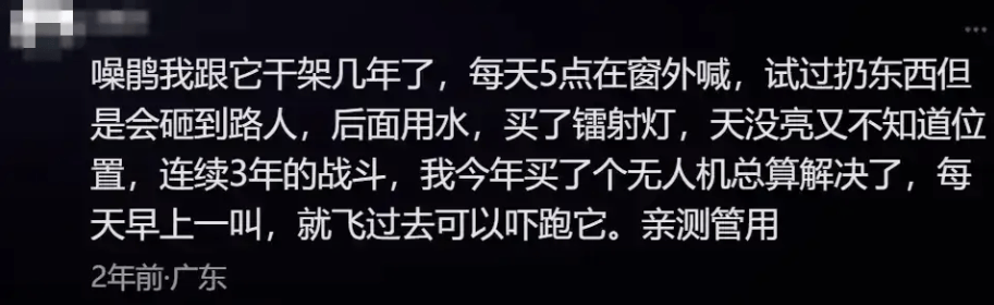 “周末想睡个懒觉都不行”,有多少深圳人被这种鸟吵到神经衰弱