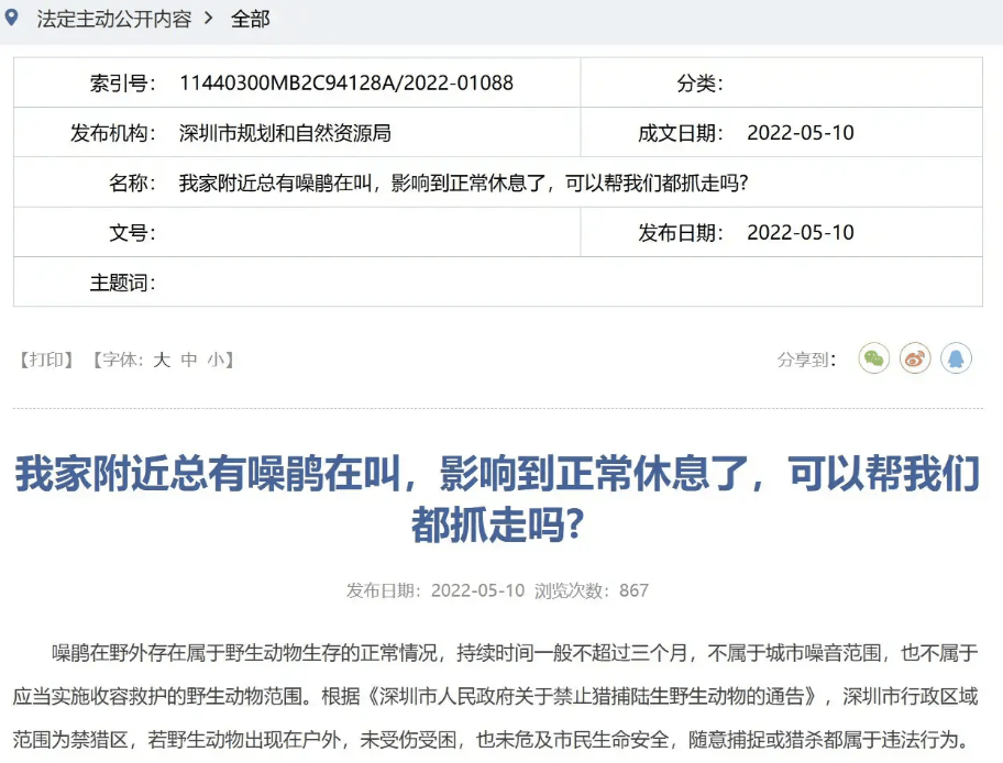 “周末想睡个懒觉都不行”,有多少深圳人被这种鸟吵到神经衰弱