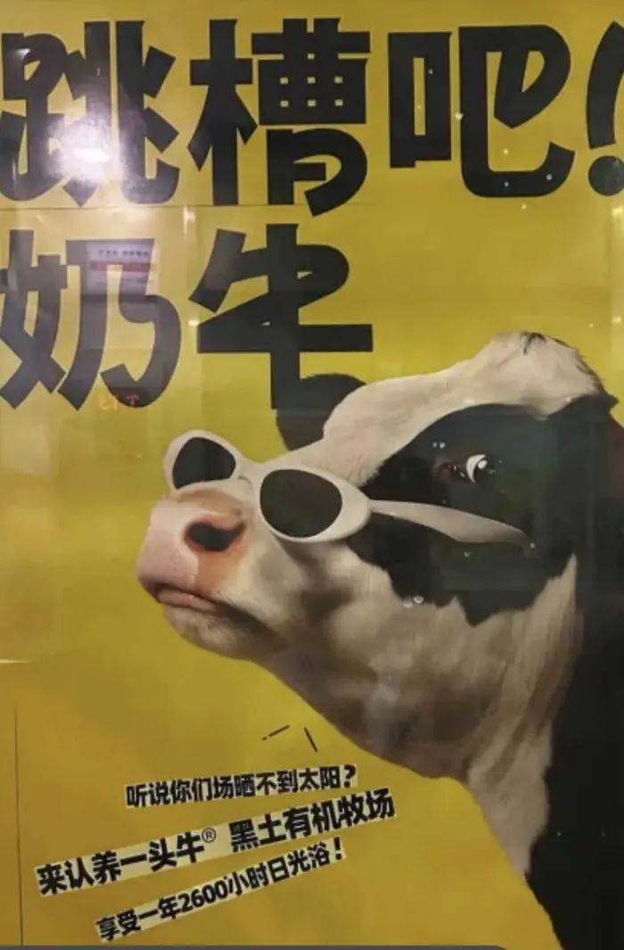 认养一头牛广告被质疑讽刺打工人，公司回应：致敬BOSS直聘