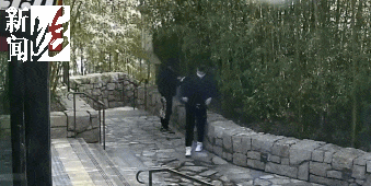 太猖狂!事发上海迪士尼,7人被刑拘