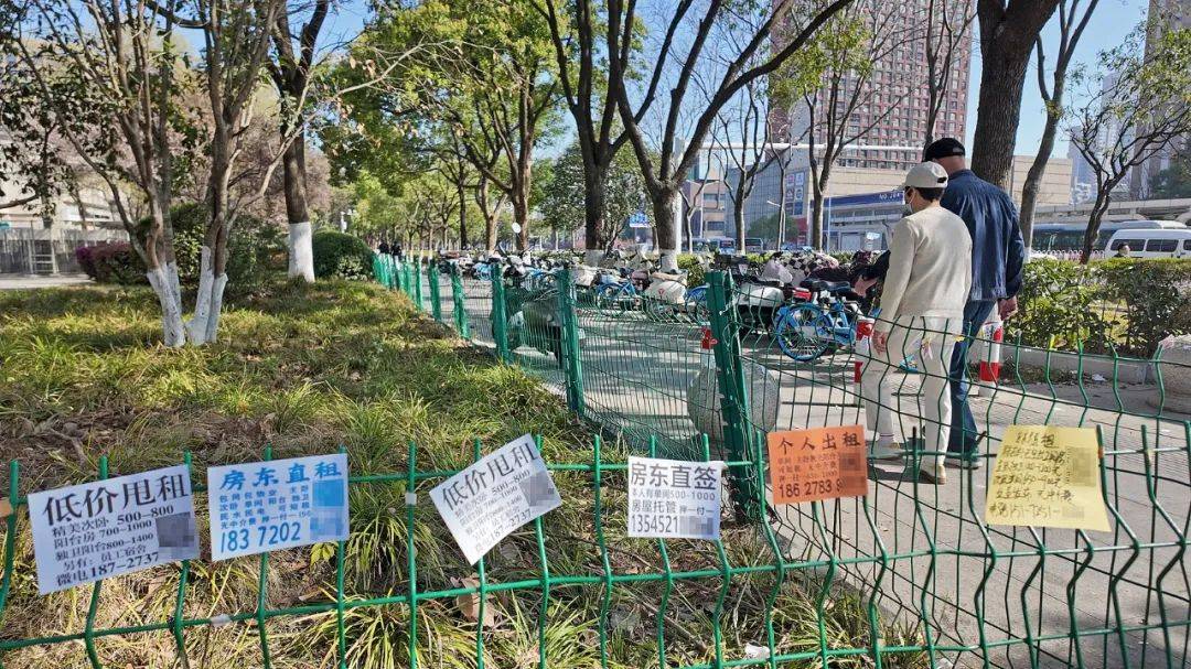 一二线城市房租普降,房东主动降200留我