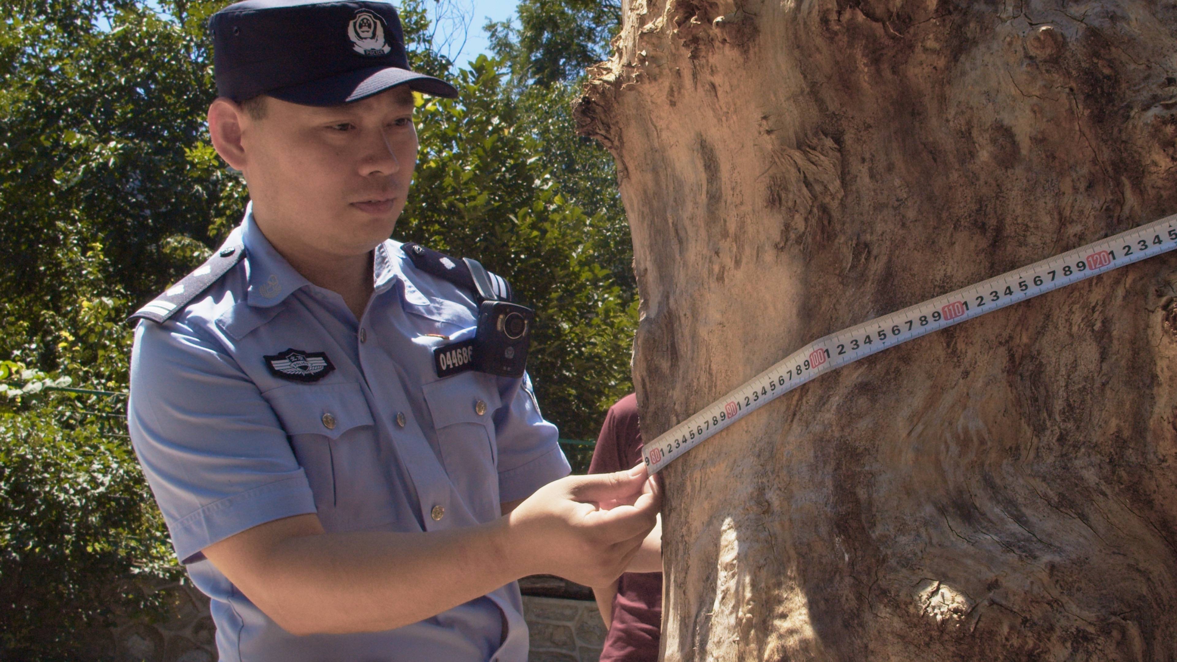 森林警察韩孟祺：乔装成驴友潜伏密林中，抓获“粘鸟”嫌疑人