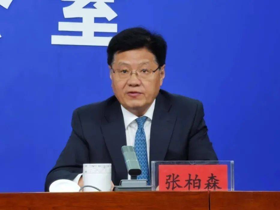 中央巡视组进驻后，张柏森被查