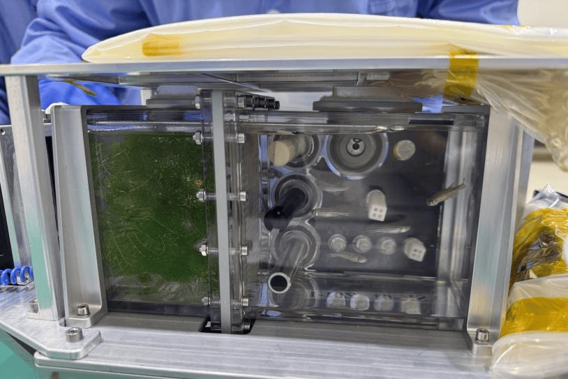 神舟二十号载人飞船发射升空！广东一高校“鱼航员”上天了