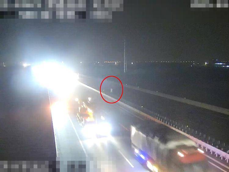 女子高速途中与丈夫争吵，下车横穿高速“暴走”数公里