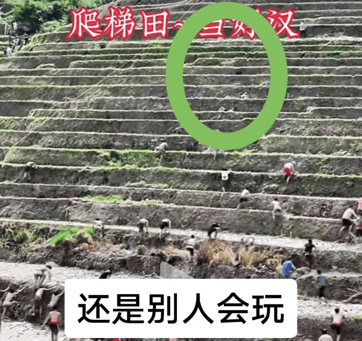 桂林一景区回应爬梯田比赛前两名半坡起跑作弊:游客赛前试爬后躺半坡,工作人员没发现