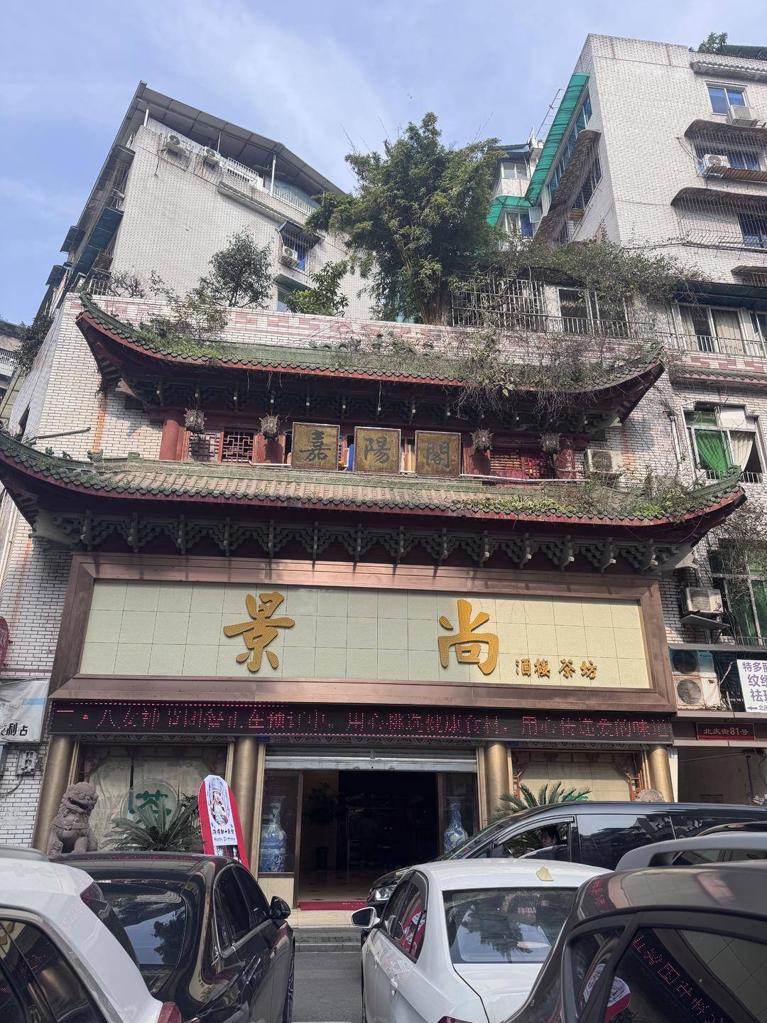 一起诉讼背后，宜宾前首富“险被送精神病院”风波丨红星深度