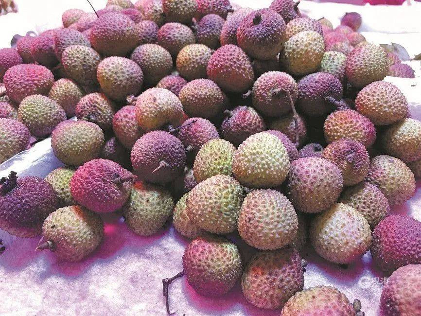 大跳水,暴跌40%!老板:一天一个价,估计还要跌