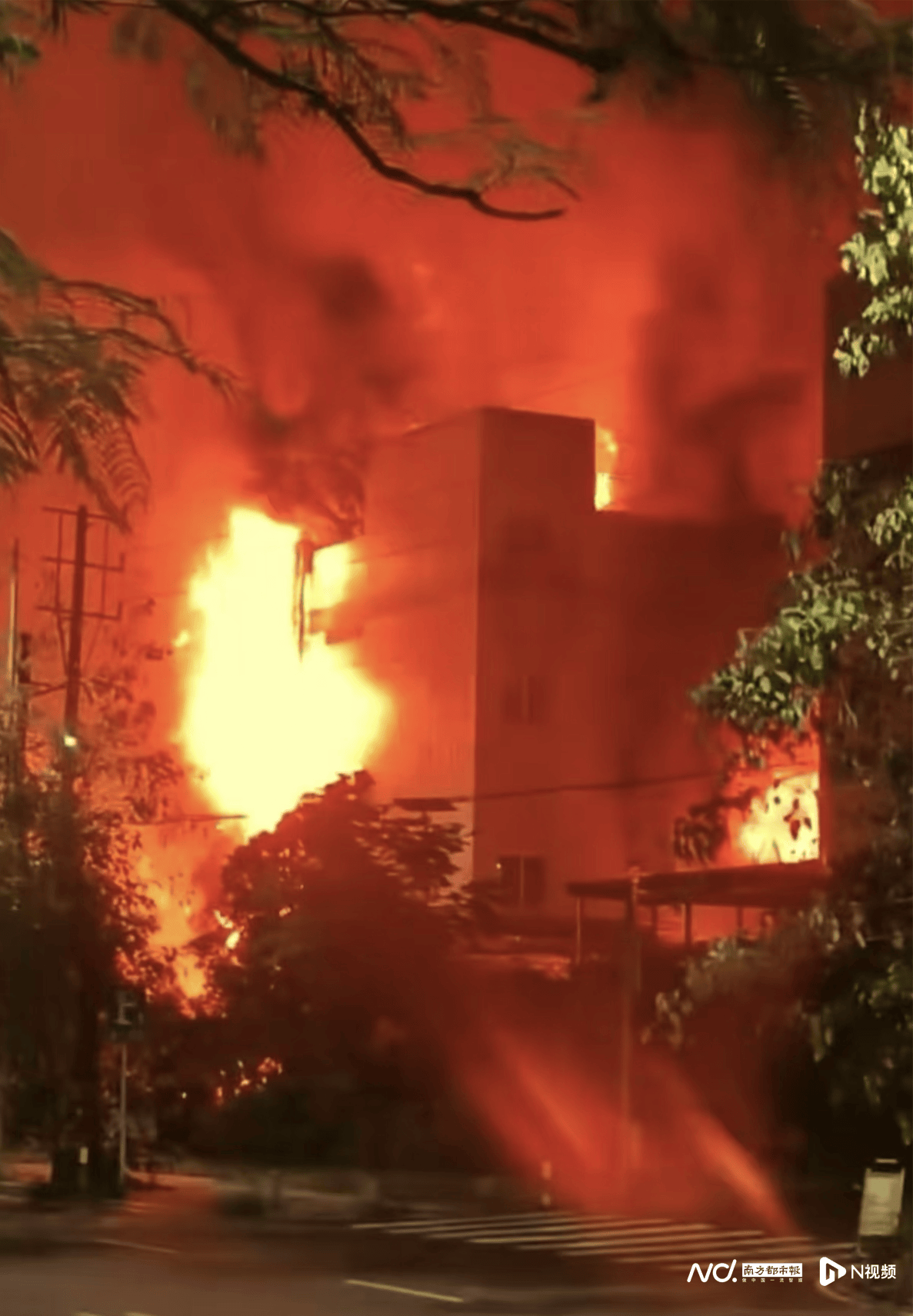 昨夜,中山一公司突发大火, 事发时火光冲天