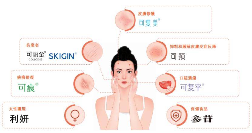 深挖 | “西北大学副校长范代娣成陕西首富”系乌龙，但她的人生如同开挂