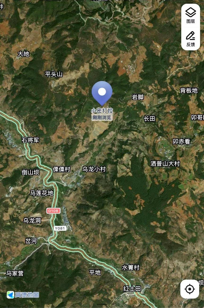 云南2名母亲带3娃登山半夜迷路:其中一名9岁儿童受伤意识不清 消防连夜救援