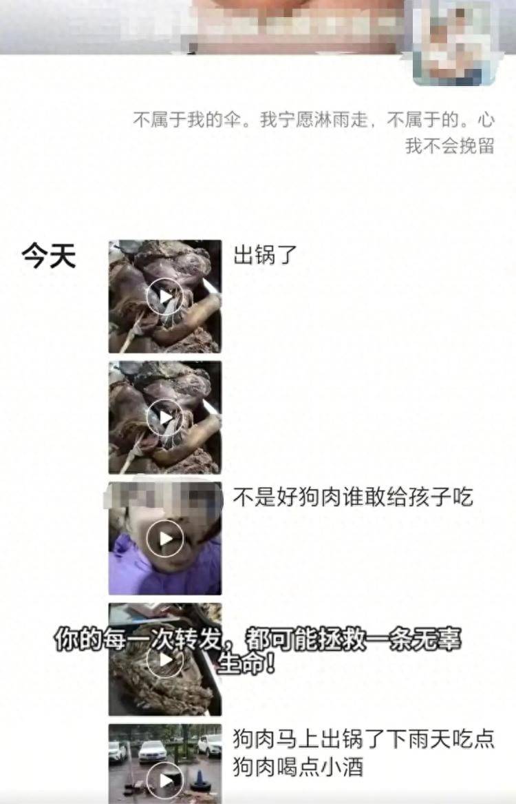 沈阳一店铺老板假借领养名义烹食流浪狗,警方:正在研讨处置