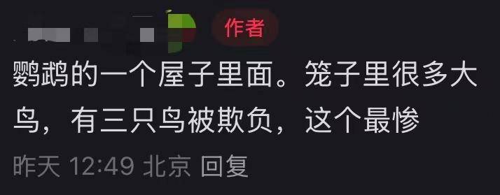 北京动物园一小鹦鹉被拍到头顶光秃皮肤裸露疑似抑郁，网友直呼心疼，园方回应